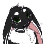 Velocity-bunny's Avatar