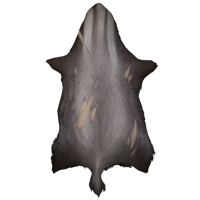 Large Mustelid Pelt - Scarred