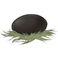 Kukuri Egg (Common)