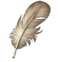 Small Feather - Snowy