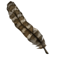 Long Feather - Striped