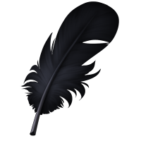 Small Feather - Raven