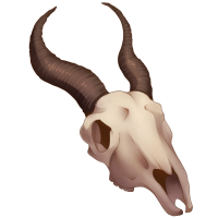 Skull - Small Horned