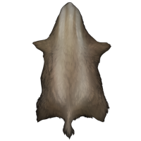 Large Mustelid Pelt - Sand