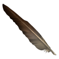 Feather - Brown