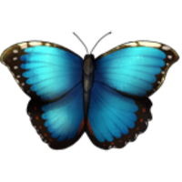 Blue Morpho