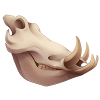 Skull - Small Tusked