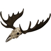 Skull - Large Antlered