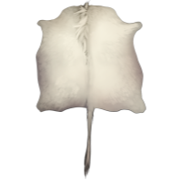 Large Horned Pelt - Albino