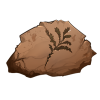 Plant Fossil