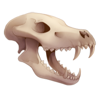 Skull - Hyena