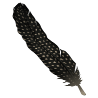 Long Feather - Spotted