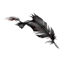 Tattered Feather