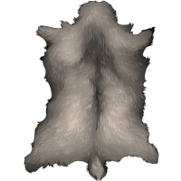 Small Antlered Pelt - Albino