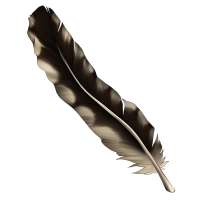 Long Feather - Pheasant